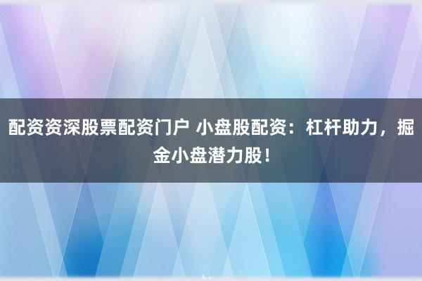 配资资深股票配资门户 小盘股配资：杠杆助力，掘金小盘潜力股！