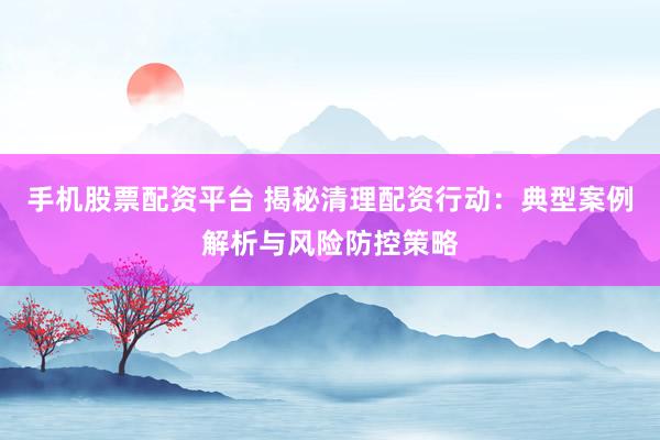 手机股票配资平台 揭秘清理配资行动：典型案例解析与风险防控策略