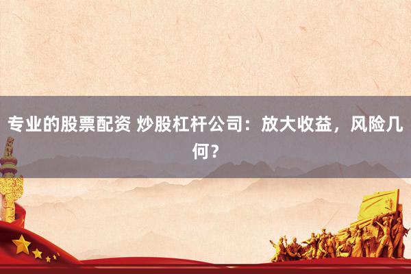 专业的股票配资 炒股杠杆公司：放大收益，风险几何？