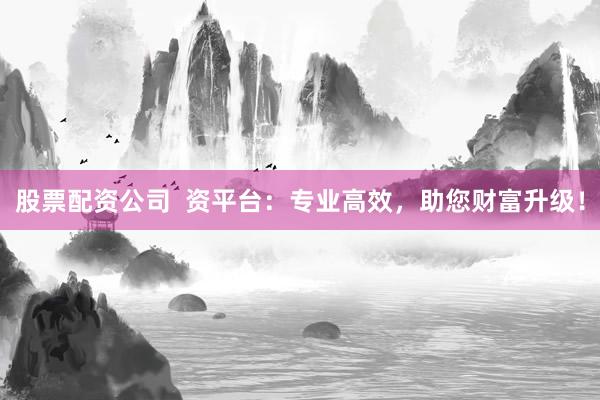 股票配资公司  资平台：专业高效，助您财富升级！